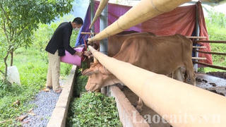 Lào Cai: Huy động trên 7,9 tỷ đồng ủng hộ Quỹ Vì người nghèo