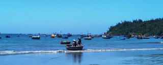 Đầu năm ngư dân trúng đậm tôm hùm nhí