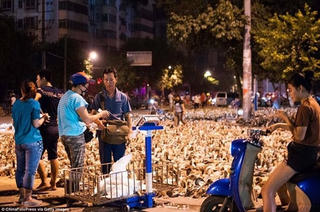 100.000 con vịt “xâm chiếm” đường phố