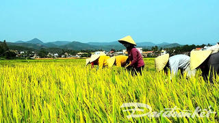 Xoay trục nông nghiệp