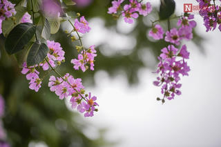 Cùng lo âu và cùng hy vọng nhé!