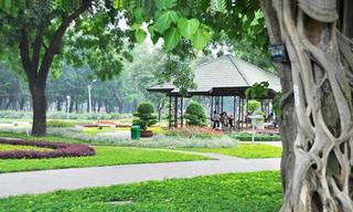 TP Hồ Chí Minh:  Cải tạo khu đất hoang thành công viên