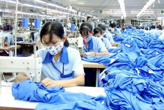 Nghỉ thai sản vẫn được xét tặng danh hiệu 'Lao động tiên tiến'