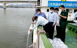 Phú Yên: Thả 1 triệu con giống tôm sú tái tạo nguồn lợi thủy sản năm 2022