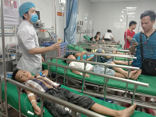 16 học sinh nhập viện vì bị ong đốt