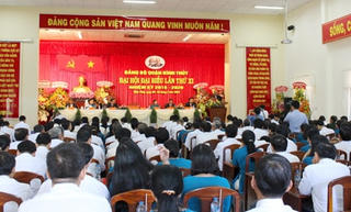Quận Bình Thủy: Phát triển nông nghiệp đô thị, hình thành vành đai xanh cho thành phố Cần Thơ