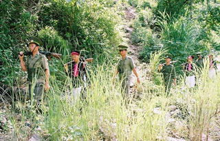 Biên cương xanh