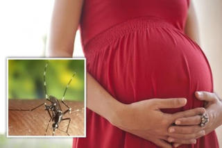 Chủ động ngăn lây nhiễm Zika cho phụ nữ