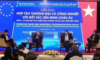 EVFTA thực thi từ 1/8: Động lực thúc đẩy tăng trưởng kinh tế