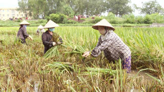 Bắc Giang tăng cường các biện pháp phòng chống dịch