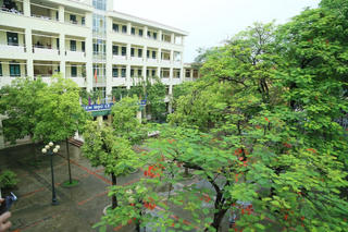 Hành động thái quá