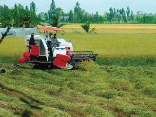 Hậu Giang: Rà soát, đẩy nhanh tiến độ các dự án phát triển nông nghiệp