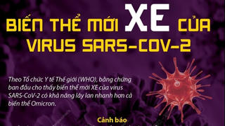 [Infographics] Biến thể mới XE của virus SARS-CoV-2