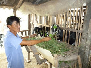 An Giang phấn đấu giảm từ 1%-1,5% tỷ lệ hộ nghèo trong năm 2017