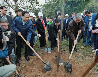 Trồng cây xanh hôm nay là trồng cho thế hệ mai sau