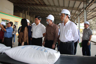 Bộ Nông nghiệp kiểm tra tình hình thu mua lúa gạo tại ĐBSCL