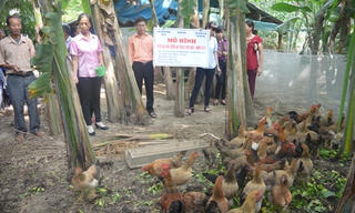Hưng Yên: 40% hộ chăn nuôi gia cầm theo VietGAHP