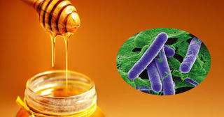 Mật ong có thể chứa vi khuẩn trong pate Minh Chay, cần lưu ý điều gì?
