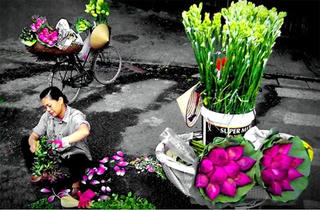 Gặp hồn quê trong lòng phố