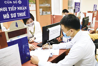 Nở rộ tình trạng gian lận hoàn thuế giá trị gia tăng