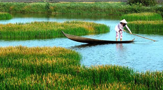 Hy vọng