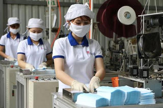 Lưu ý khi xuất khẩu khẩu trang sang EU