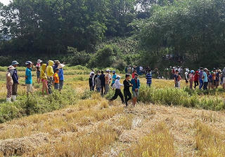 Được thuê một triệu đồng, nam thanh niên đánh chết người