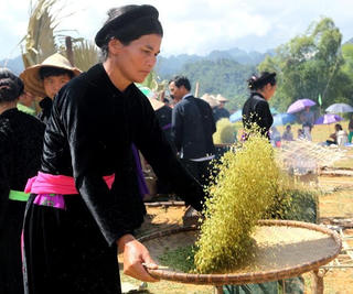 Dẻo thơm cốm Nà Hang