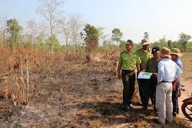 Tây Ninh: 12 vụ cháy tại khu rừng phòng hộ Dầu Tiếng trong dịp Tết