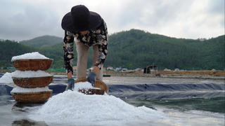 Nhọc nhằn nghề muối Sa Huỳnh