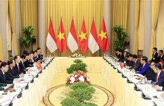 Chủ tịch nước hội đàm với Tổng thống Indonesia