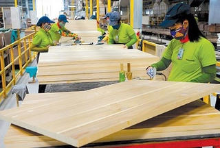 Giá trị xuất siêu lâm sản gần 7 tỷ USD