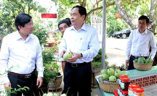 Mô hình Hội quán là kênh hữu hiệu phát triển kinh tế tại Đồng Tháp