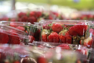 Sau Australia, New Zealand cũng phát hiện kim khâu trong trái dâu tây