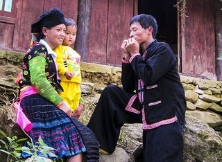 Tha thiết tiếng kèn lá gọi bạn