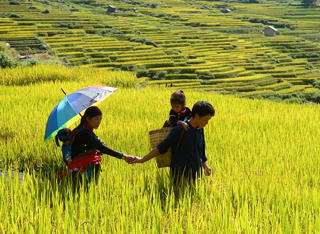 Thiêng liêng hai tiếng Gia đình
