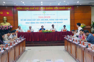 Cho phá sản công ty nông lâm nghiệp yếu kém