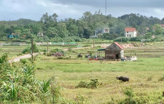 Quảng Ninh: Kiên quyết xử lý sai phạm đất đai tại xã Vĩnh Trung