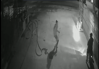 [VIDEO] Trộm chó bất thành, bỏ chạy khi bị nữ chủ nhà phát hiện