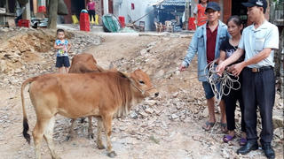 Trao sinh kế để hộ nghèo vươn lên