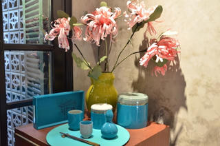 ‘Sơn mài Hanoia’