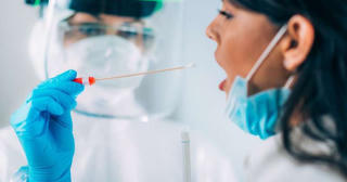 Phát hiện đột biến của virus Corona trên chồn có thể gây đại dịch mới