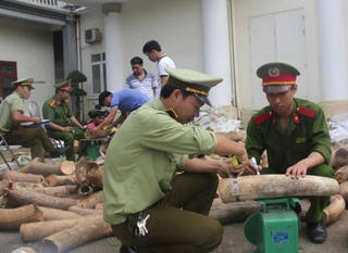 Thanh Hóa: Bắt giữ hơn 2,7 tấn ngà voi trên xe tải