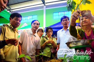 Quảng Nam thu về hơn 4,5 tỷ đồng tại phiên chợ sâm Ngọc Linh