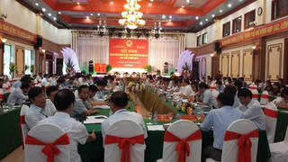 Liên kết vùng phát triển sản xuất, tiêu thụ sản phẩm: Vẫn lỏng lẻo