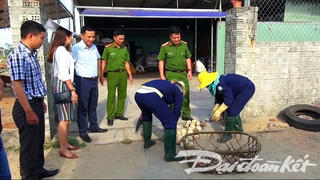 Xử phạt cơ sở sử dụng hóa chất tẩy trắng dừa