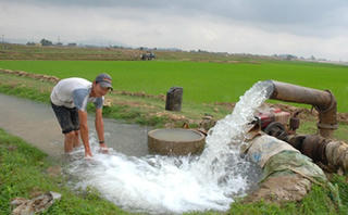Sóc Trăng: Tìm cách thích ứng với hạn hán, xâm nhập mặn