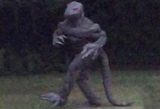 Phát hiện sinh vật bí ẩn giống người thằn lằn