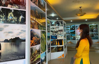 Số hóa và lưu giữ phim: Con đường còn gian nan