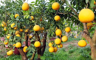 Giữ chữ tín bắt đầu từ...